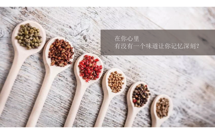 椰婆辣醬品牌規(guī)劃方案