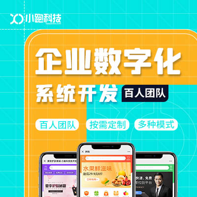 企业数字化系统开发公司OA管理系统APP小程序软件定制作