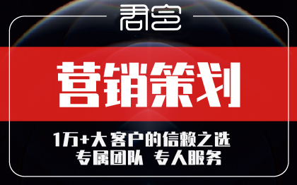 品牌公司企业产品网站整合网络营销策划全案口碑全网传播百度