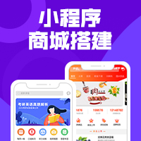 经营管理软件开发