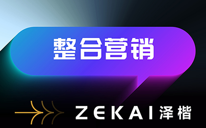 公司品牌企业产品整合网络数字广告<hl>营销</hl><hl>策划</hl>品牌推广