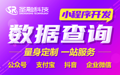 数据查询diy自定义系统商铺软件开发定制助力场景下单结算