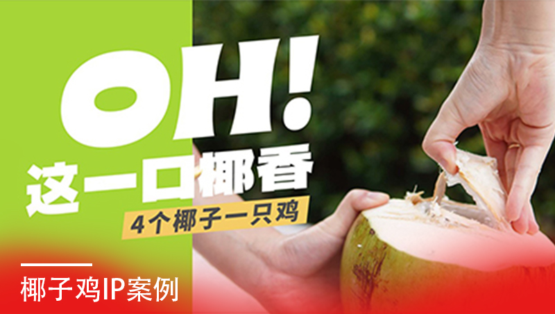 印象四季椰子鸡餐饮连锁VIS设计案例