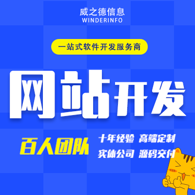 网站建设企业官网电商城教育招聘医疗政府门户响应式定制开发