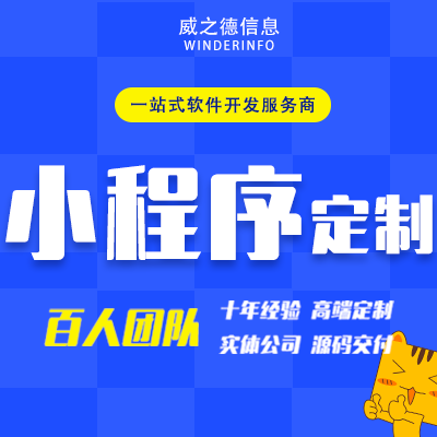 威之德信息-20年实体百人团队