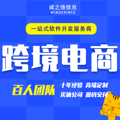 威之德信息-20年实体百人团队