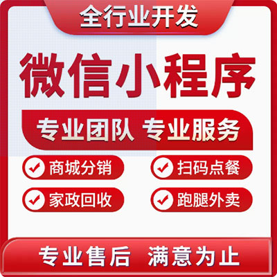 小程序定制开发微信应用H5公众号外包电商企业官网展示商城