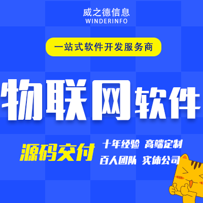 威之德信息-20年实体百人团队