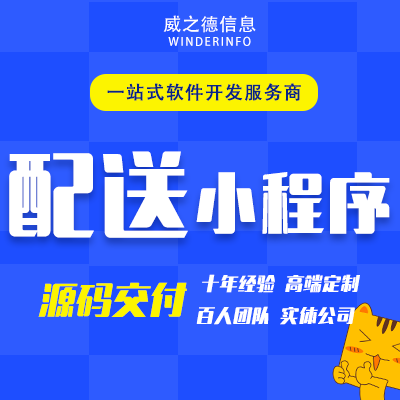 威之德信息-20年实体百人团队