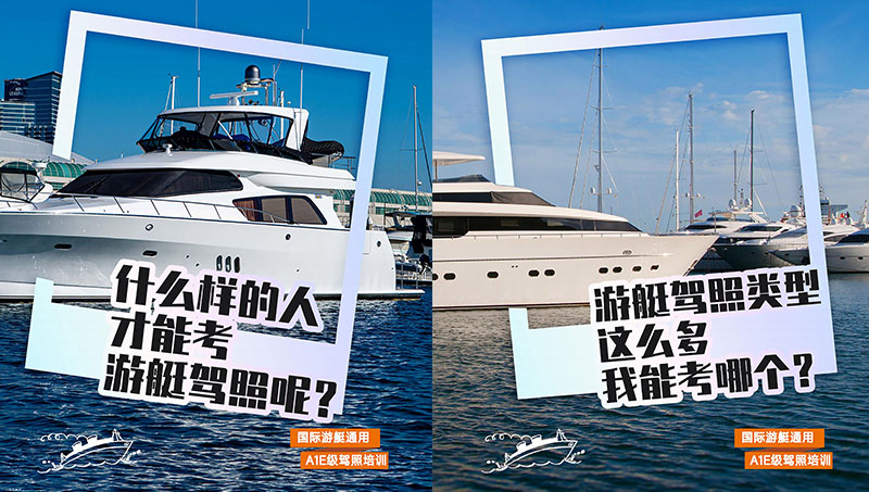 海報案例~小紅薯宣傳海報招生科普海報~上海大絡(luò)