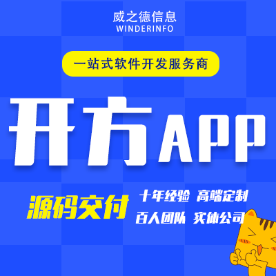 威之德信息-20年实体百人团队