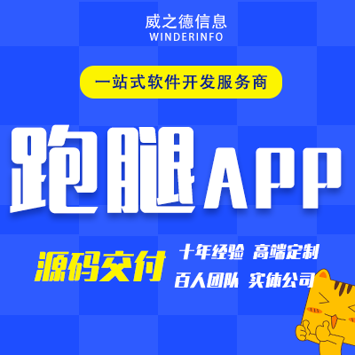 威之德信息-20年实体百人团队