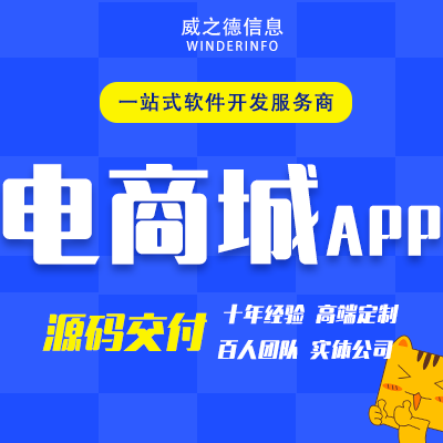 威之德信息-20年实体百人团队