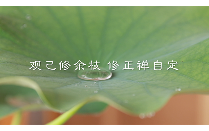 Mike明-拍剪-設(shè)計-攝影