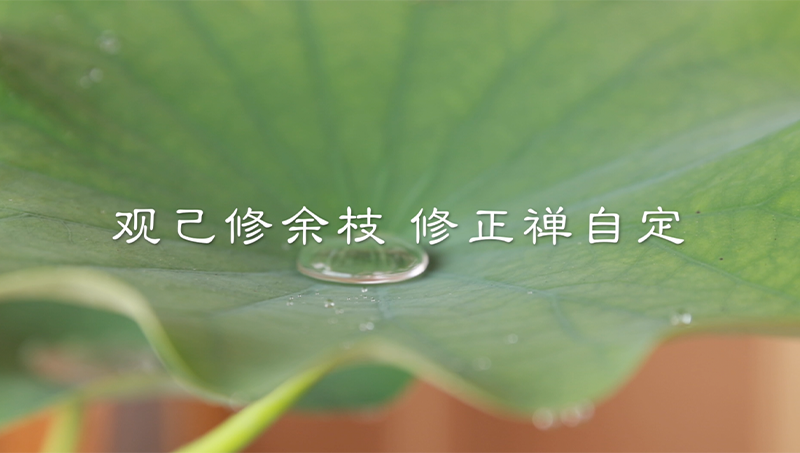 慧力舍推廣系列<hl>短視頻</hl>（創(chuàng)作+拍攝+制作）