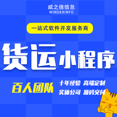 威之德信息-20年实体百人团队