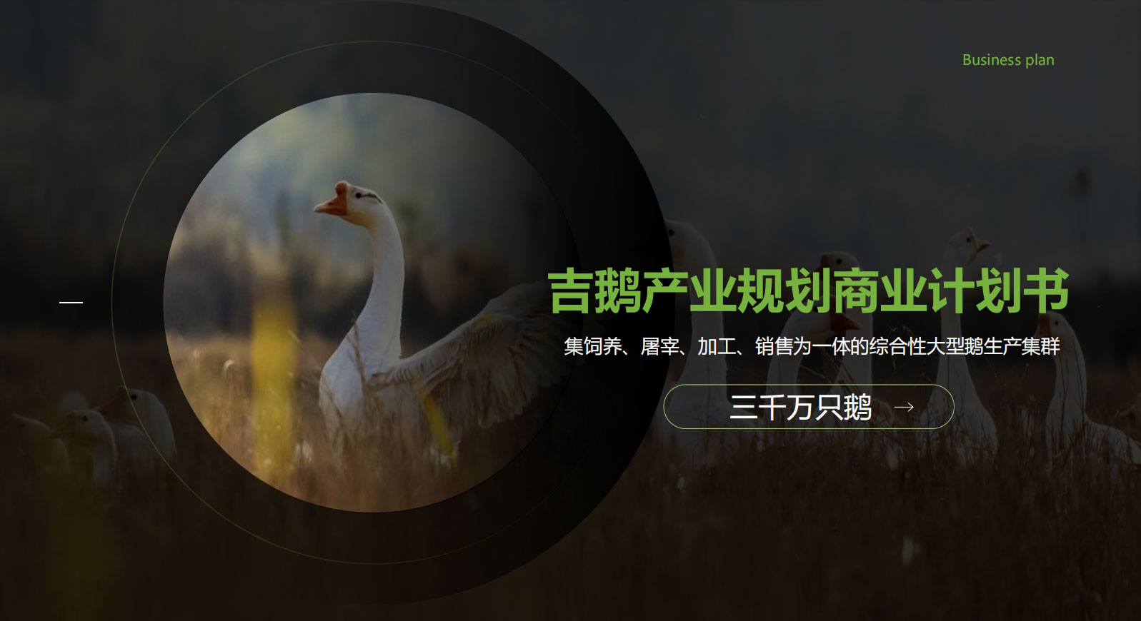 吉鵝產(chǎn)業(yè)規(guī)劃商業(yè)計劃書