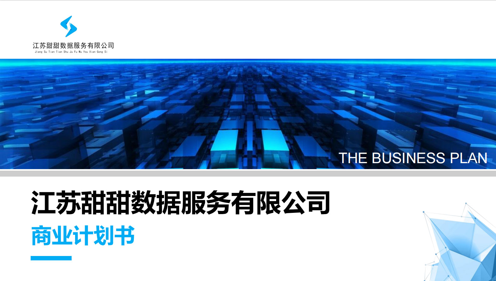 江蘇甜甜數(shù)據(jù)服務有限公司商業(yè)計劃書