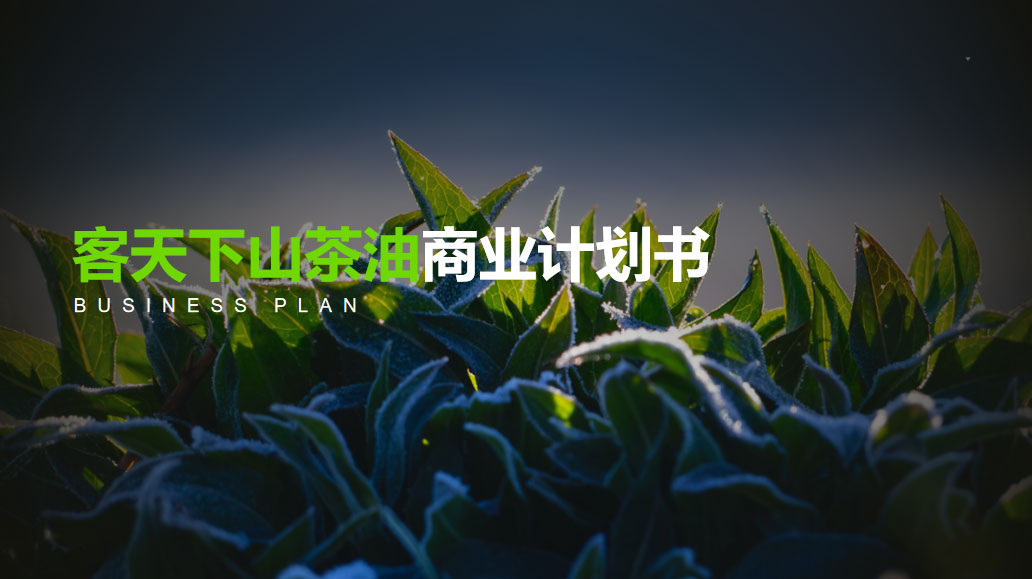 客天下山茶油商業(yè)計劃書
