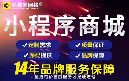 微信小程序定制开发电商小程序定制开发小程序模板