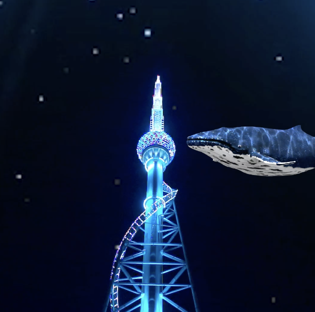 AR光影秀