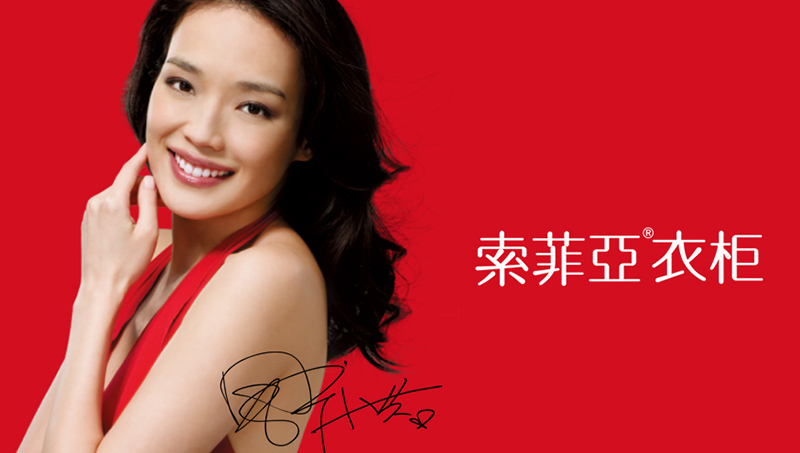 爱笛斯定制衣柜品牌VIS系统设计