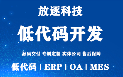 低代码（零代码）软件搭建