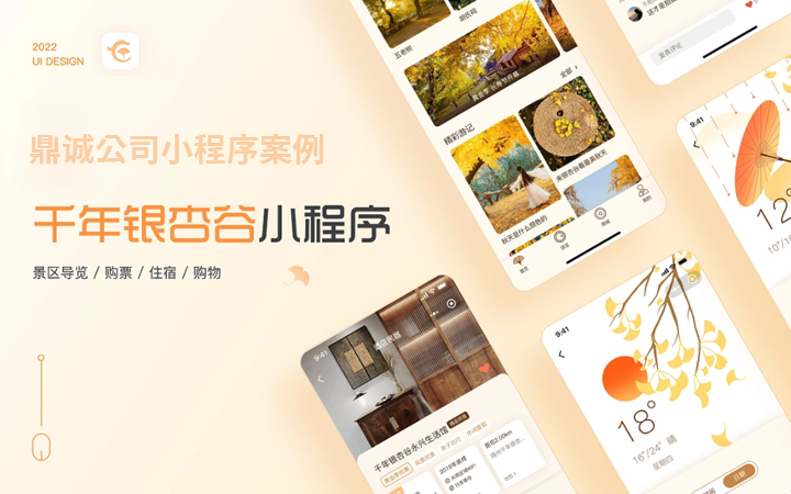 深圳鼎誠(chéng)網(wǎng)絡(luò)建站品牌14年企業(yè)