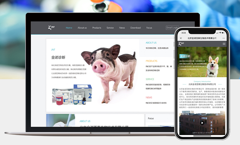 金诺诊断丨企业网站丨生物技术