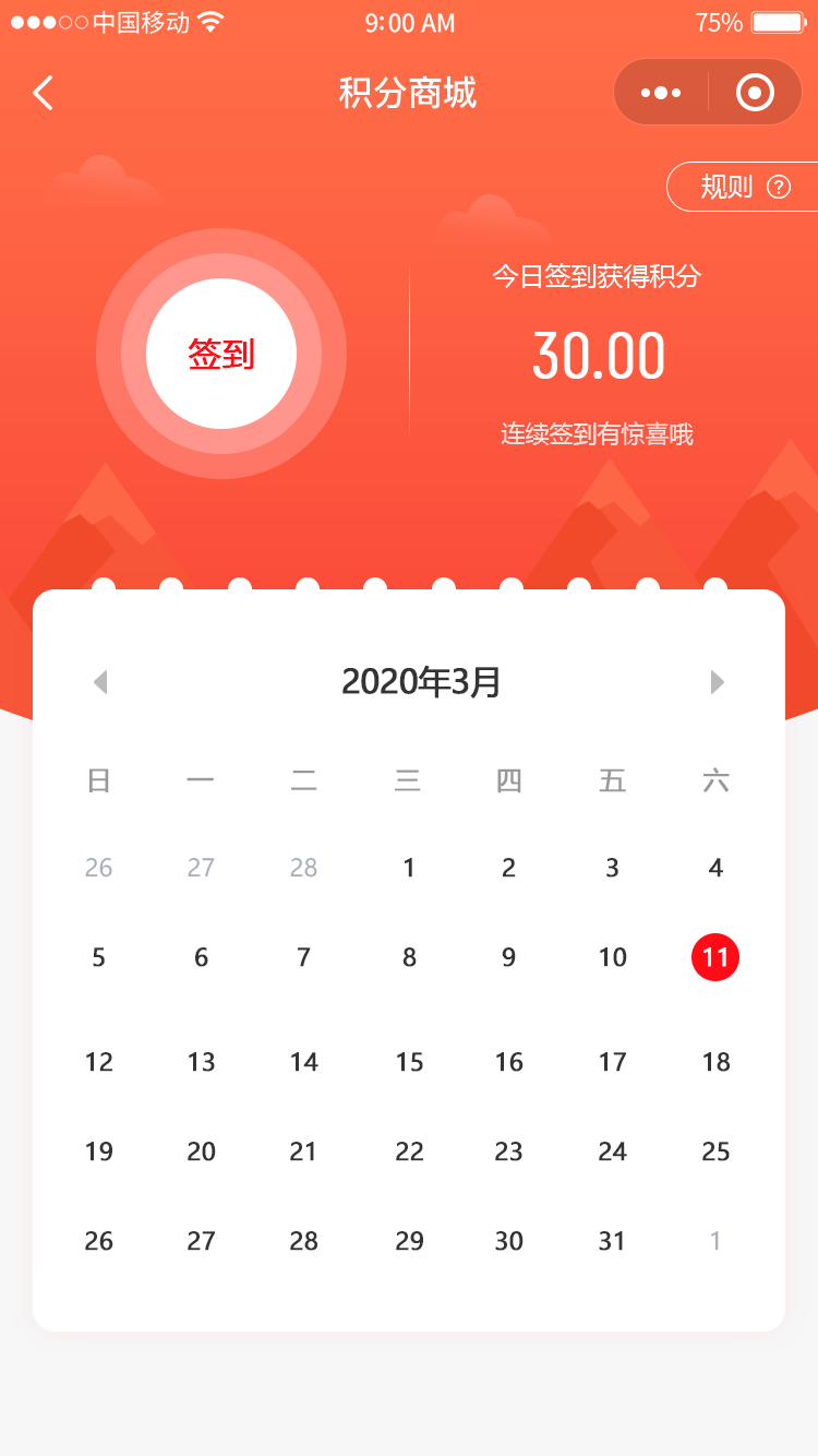 提供軟件開發(fā)服務(wù)