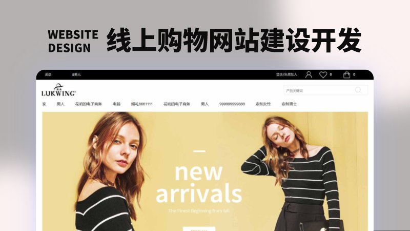 購物商城電商網(wǎng)站建設(shè)