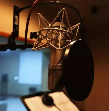 有声书、电影、动画配音