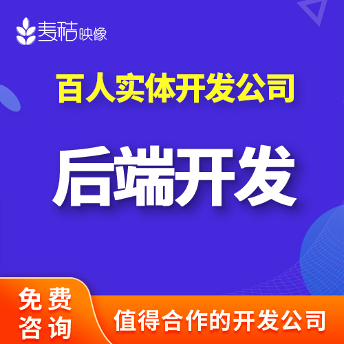 网站后端开发建站搭建后台程序接口数据库语言代码asp编程