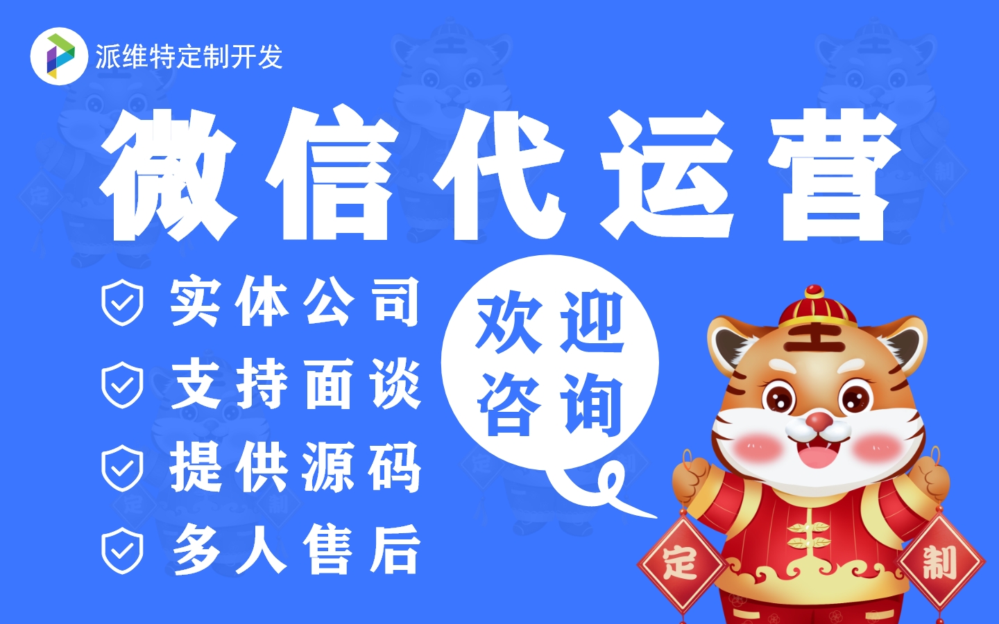 派维特定制开发