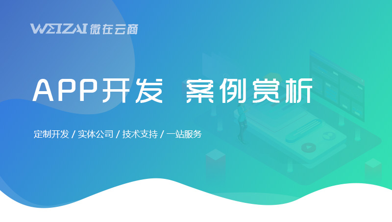 APP開發(fā)