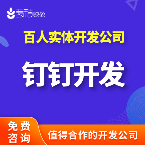 钉钉开发小程序微应用开发软件OA人事erp系统管理crm