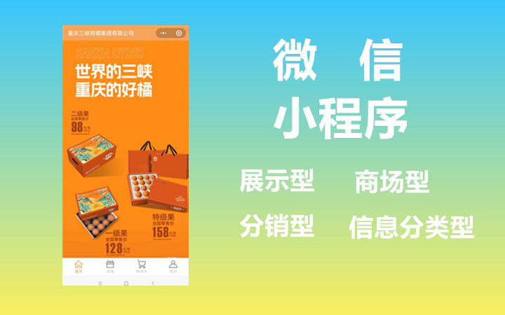 小程序制作，商場(chǎng)，模板分銷，信息分類