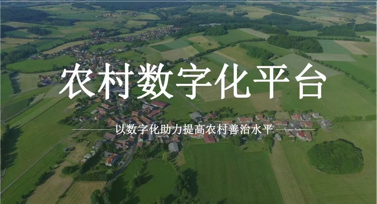 农村数字化治理规划农村数字助力管理可行性研究