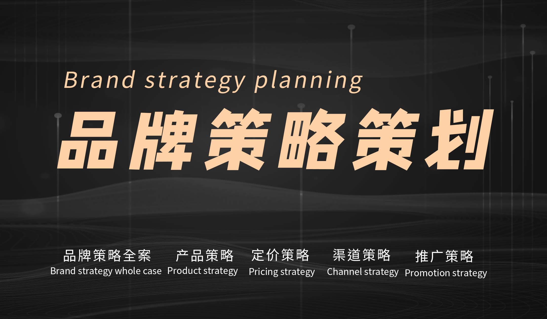 【品牌策略策划】品牌策略全案产品策略定价策略渠道策略推广