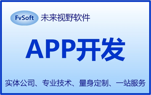 APP定制开发