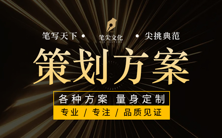 代做活动方案策划定制营销推广运营汇报方案PPT