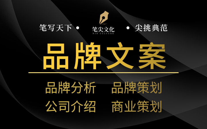 品牌策劃公司簡介PPT產(chǎn)品介紹海報(bào)制作推廣軟文案