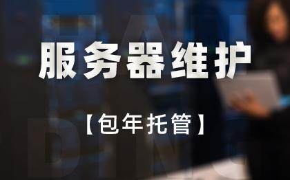 网站运维服务器托管运维数据库技术信息安全【包年】