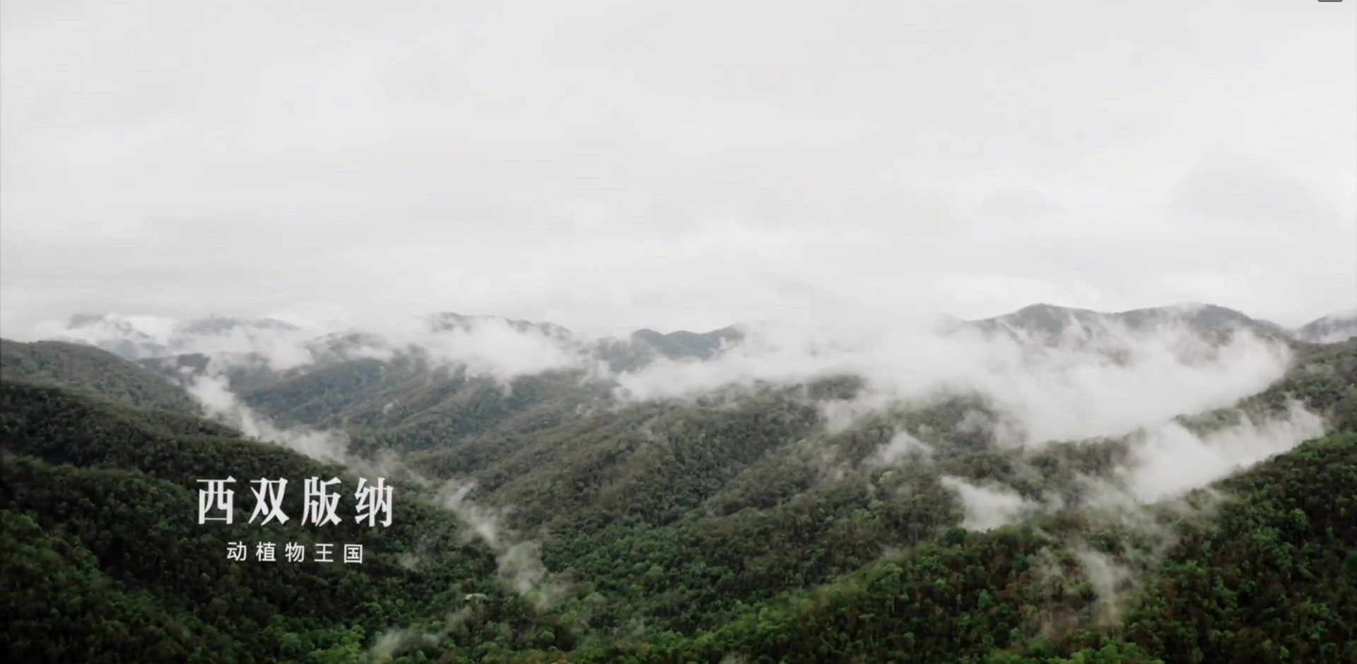 四川视阅传媒有限公司