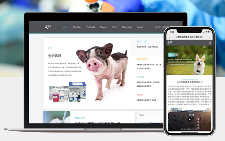 云企云商-20年软件开发