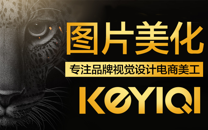 拼多多美工亚马逊美工淘宝美工京东网店美工包月外包