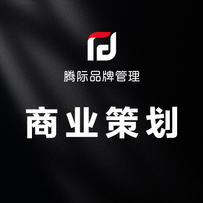 企业PPT设计公司简介项目汇报演示总结报告PPT策划招