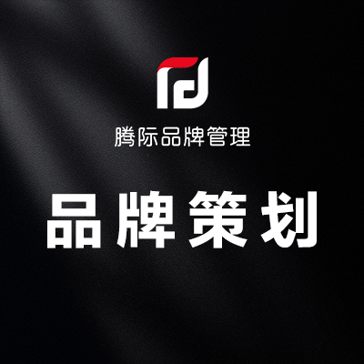 品牌提升促销整合传播品牌**产品**销量提升定价推广策略