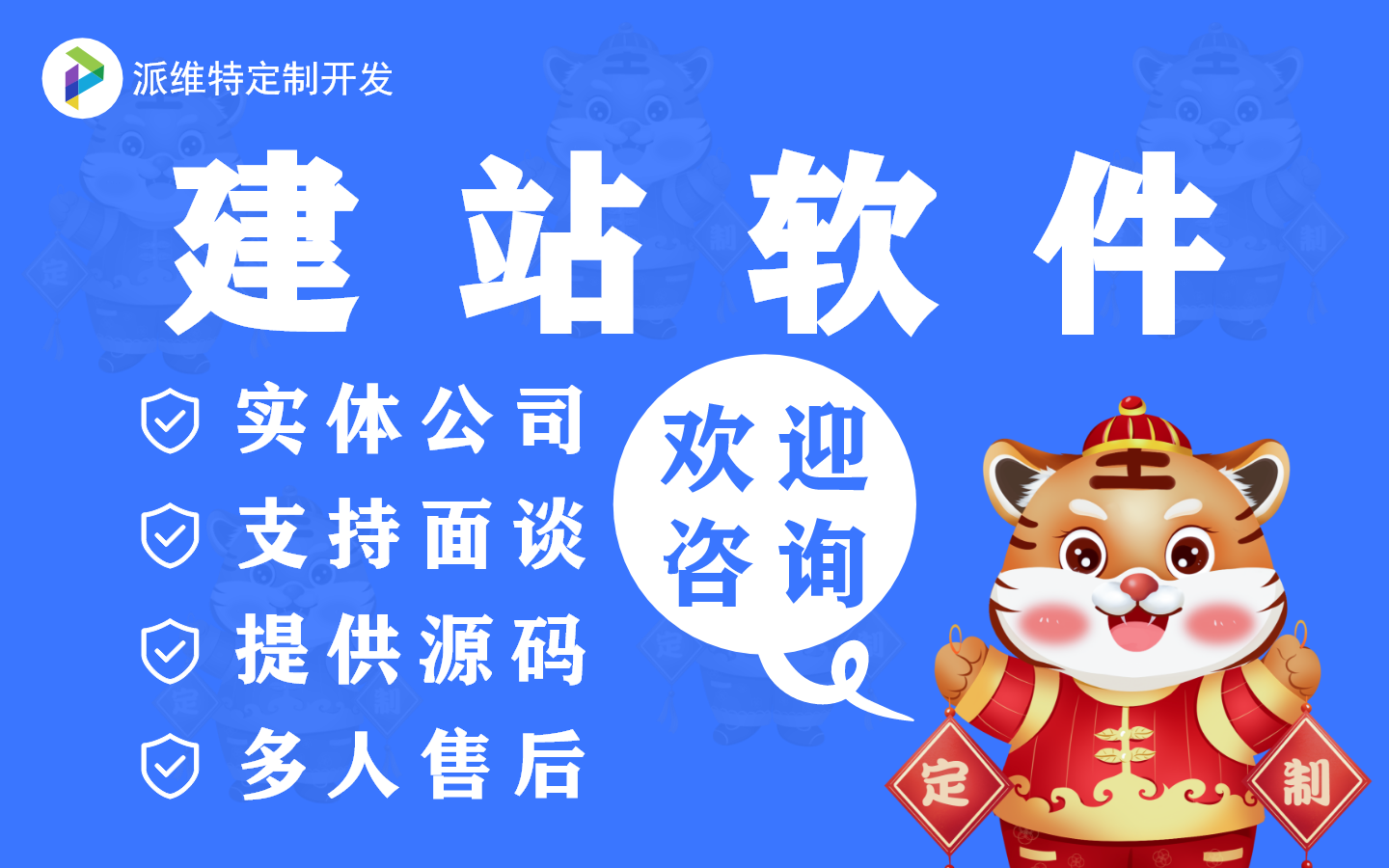 派维特定制开发