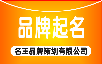 品牌起名，公司命名，商标取名，网站起名，企业名称，产品名